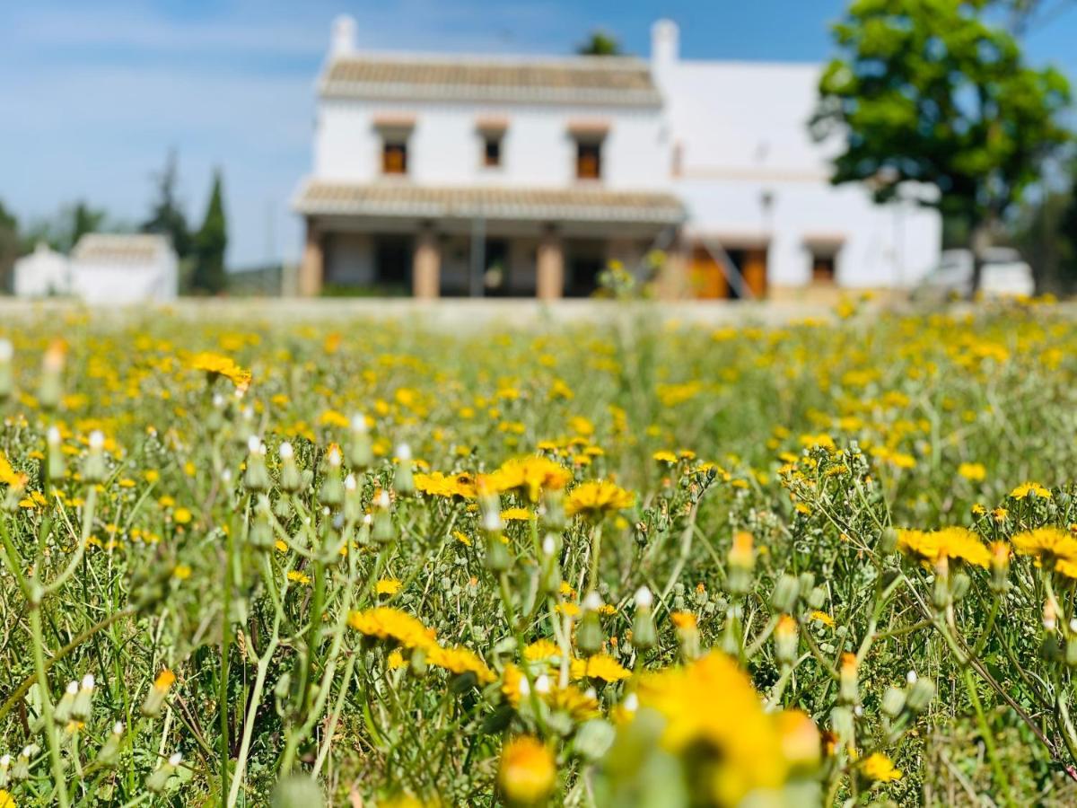 Casa Rural Huerta Abuela Maria Archidona Exteriér fotografie